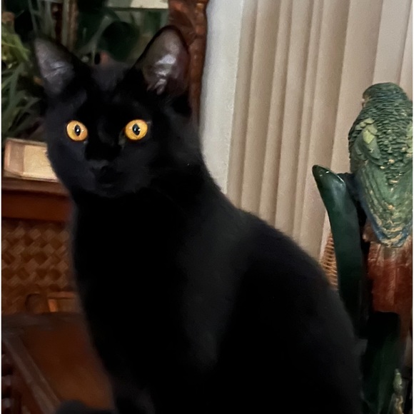 Meet your Posher, Christine - Picture 1 of 1